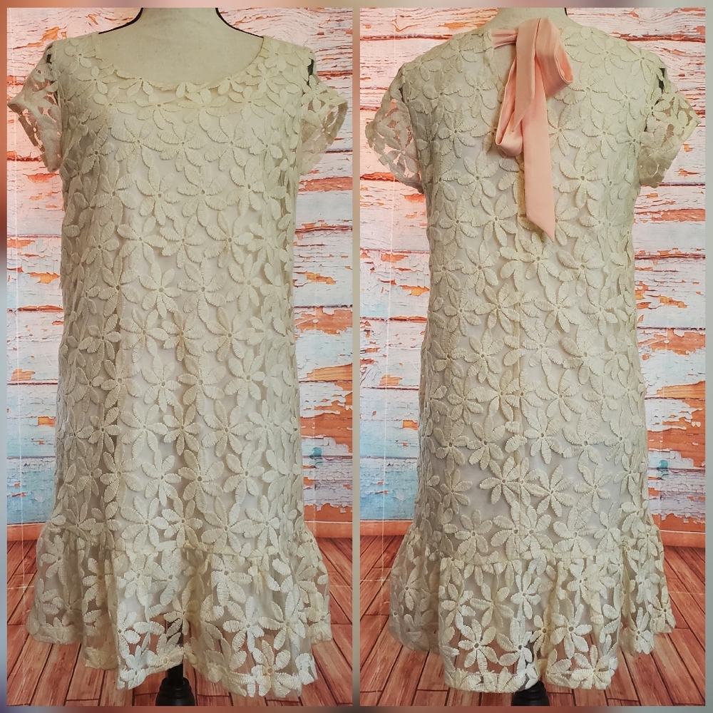 NWT francescas drop waist ruffle hem cream dress alya daisy floral lace overlay